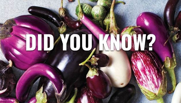 Eggplant | Australia