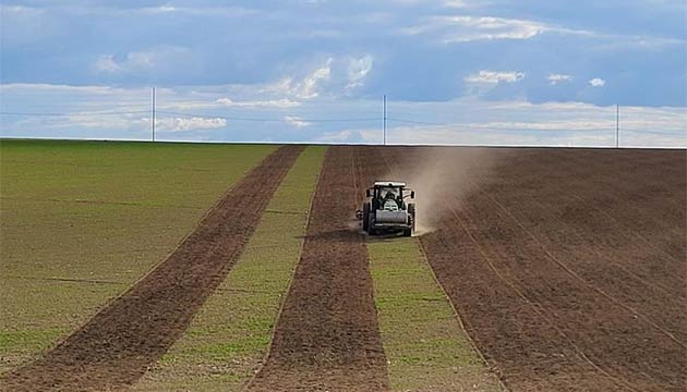 Potatoes | Strike® Fumigation