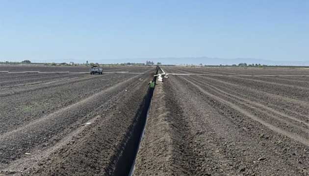 Precision Trenching & Pipeline Installation | California