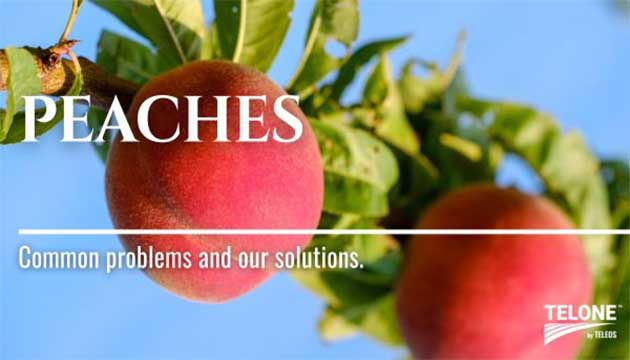 Peach Growers Trust Telone™ by Teleos