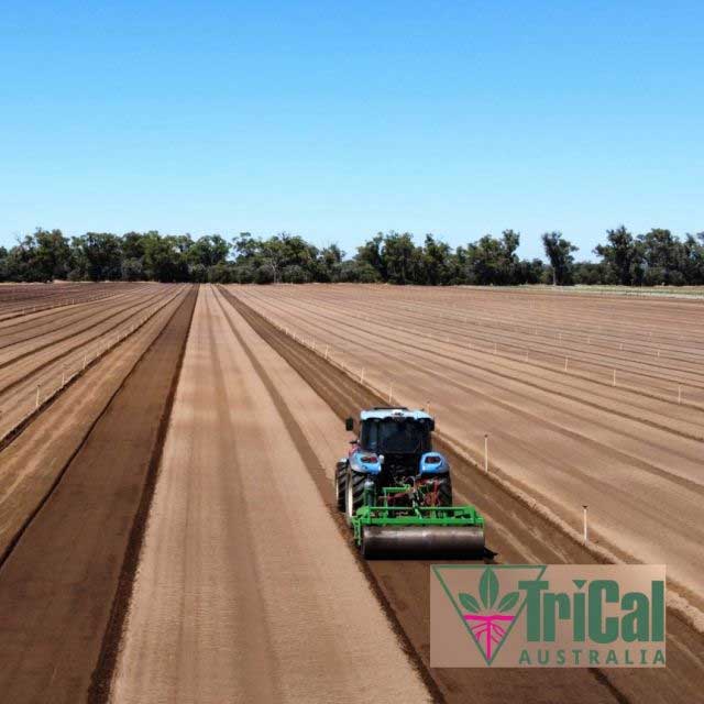 Soil Fumigation | Australia