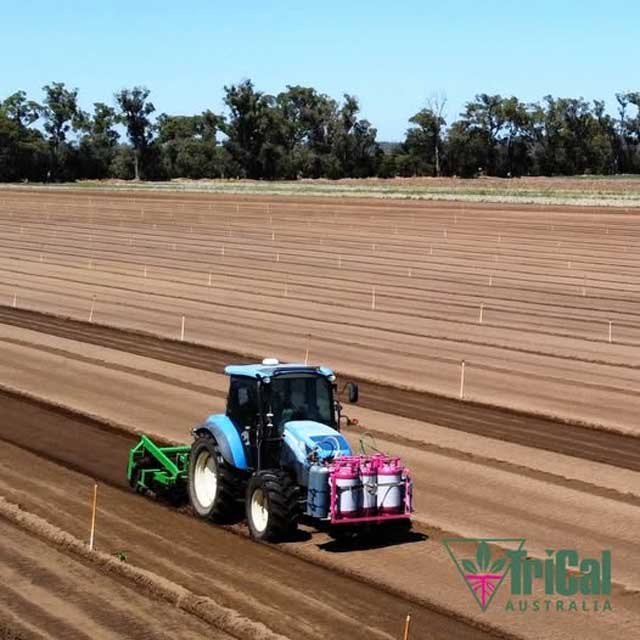 Proven Pre-Plant Soil Fumigation Solutions