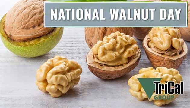 National Walnut Day