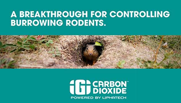 Breakthrough For Controlling Burrowing Rodents