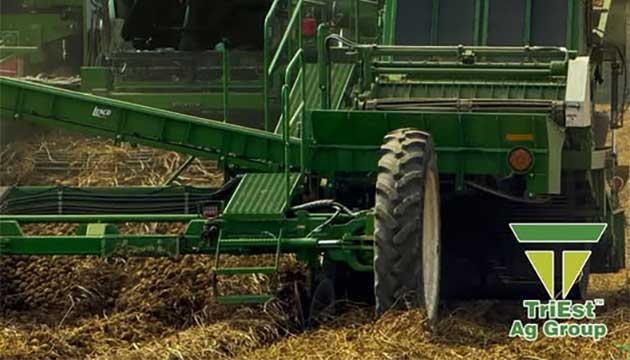 SweetPotatoes | Strip-Till Soil Fumigation