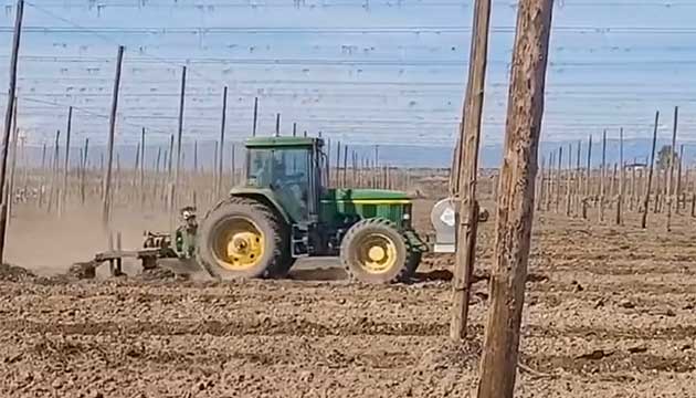 Hops | Moxee, WA