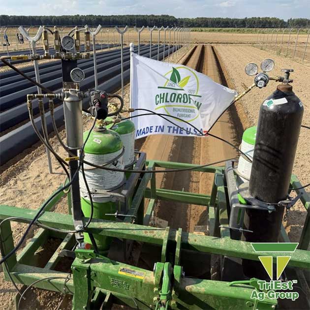 Soil Prep | Strawberries
