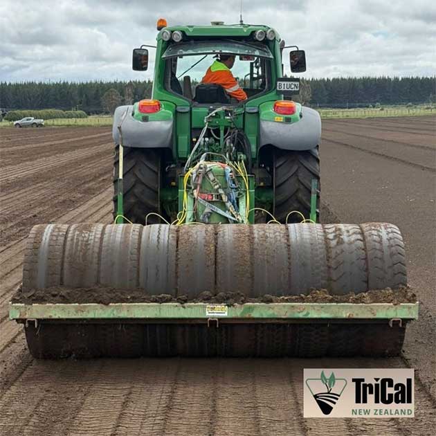 Carrots | New Zealand