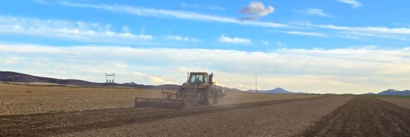 Soil fumigation using Strike™ powered by Chloropicrin