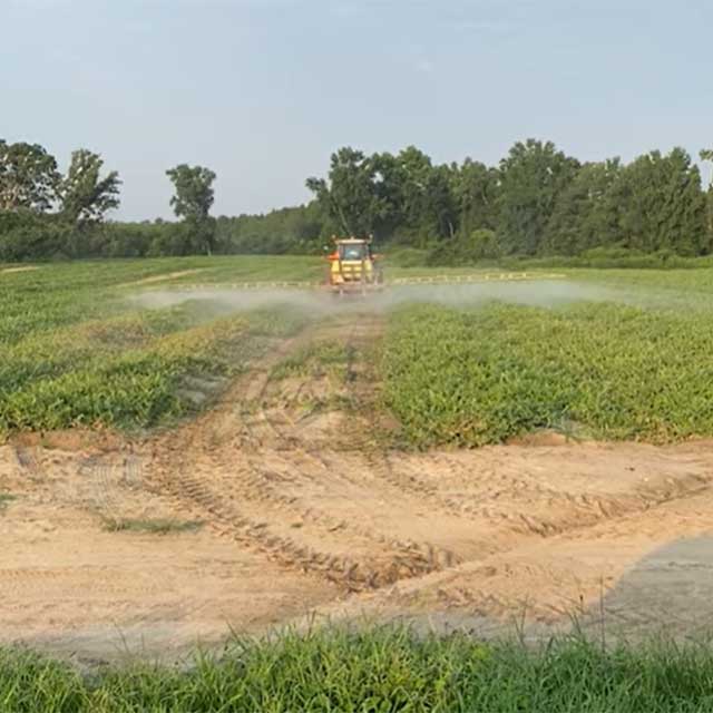 Look no further than the S5 HD Sprayer