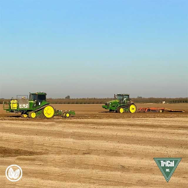 Healthy Soil Builds Healthy Trees