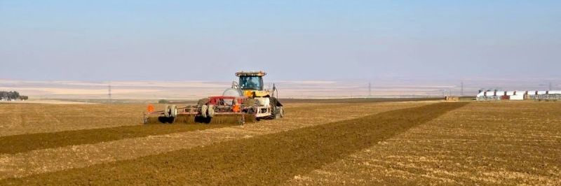 Soil Fumigated for Onions Using Strike™