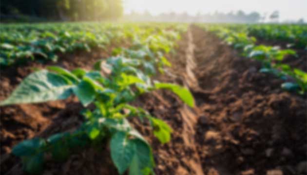 Catalyst-Activated Cycle (CAC) – Manuscript 5: Global Integration, Policy Translation, and Financial Pathways