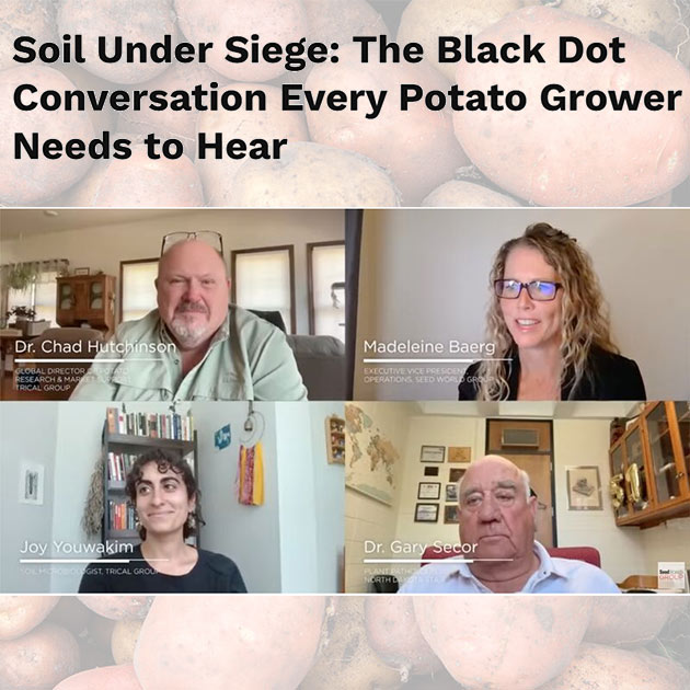 Trical Employees Sit on Expert Panel on Black Dot in Potatoes