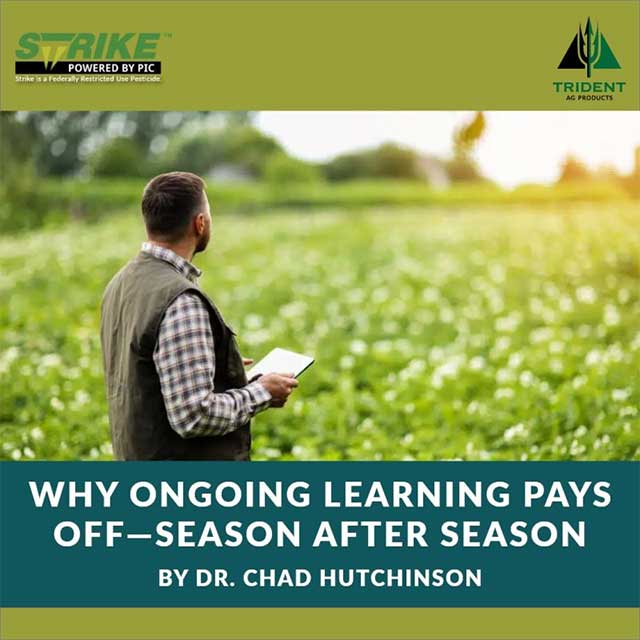Why Ongoing Learning Pays Off - Season After Season