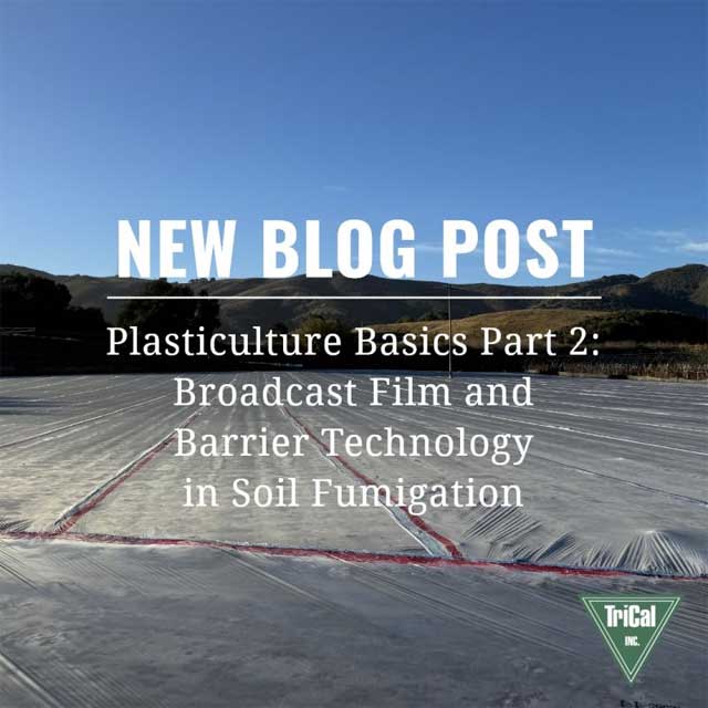 Plasticulture Basics Part 2: Broadcast Film and Barrier Technology in Soil Fumigation