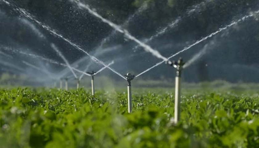 Functional Sustainability: How Using TELONE™ Can Lower Water and Fertilizer Inputs