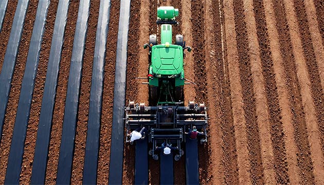 A Stronger Start Begins in the Soil