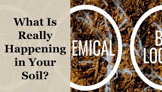 What Is Really Happening in Your Soil?