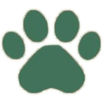 Pet Insurance