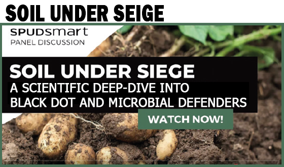 Soil Under Seige -  A Scientific Deep-Dive into Black-Dot and Microbial Defenders 