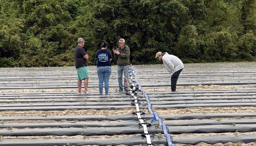 TriEst Irrigation Design Team in S.C.