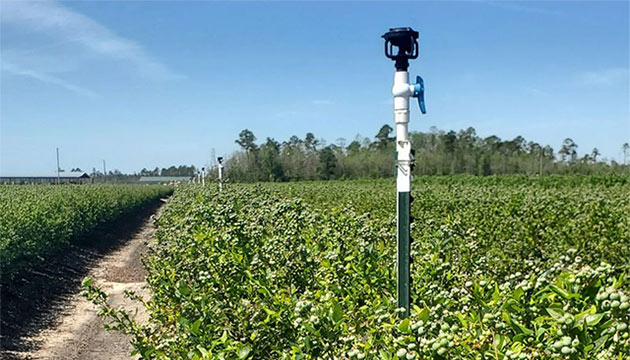 TriEst Ag Group Delivers Customized Irrigation Solutions