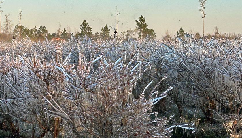 Josh Talks More about Frost Protection