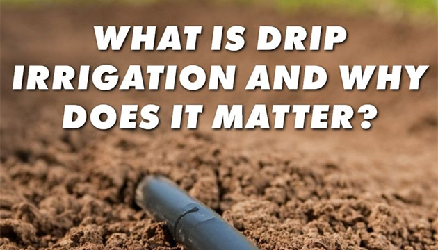 What Is Drip Irrigation and Why Does It Matter?