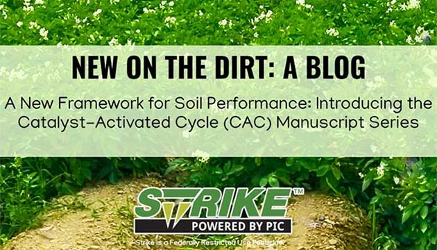 New on The Dirt: A Blog