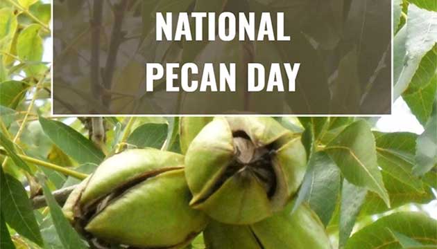 Happy National Pecan Day, April 14th.