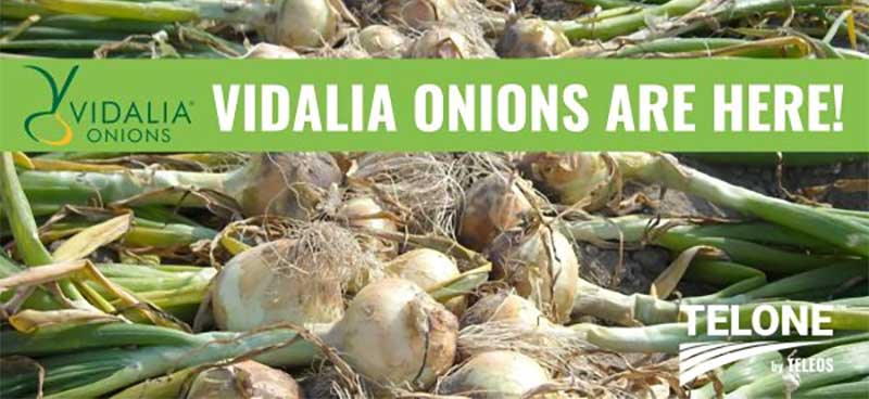 Vidalia Onions are Heading to Market