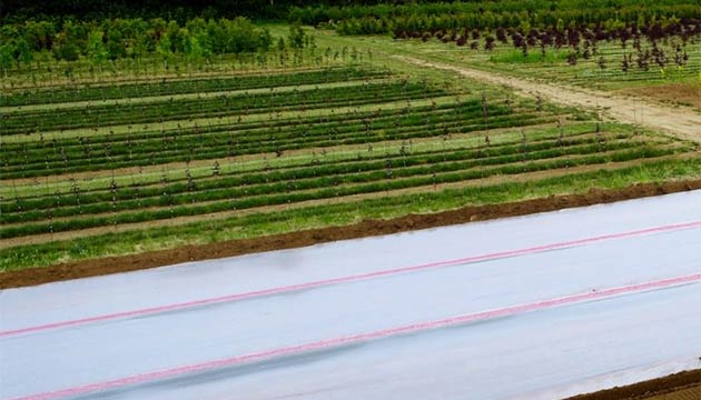 Ornamentals | Pacific Northwest