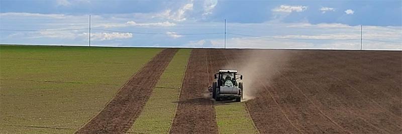 Potatoes | Strike® Fumigation