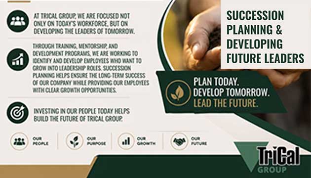 Planning and Developing Future Leaders