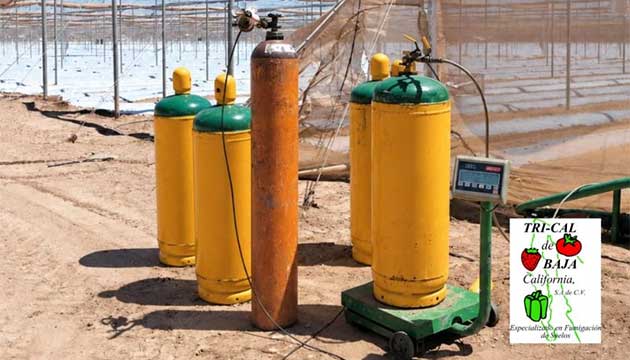 Soil Treatment | Technical Expertise | Mexico