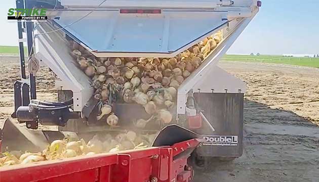 From Harvest to Storage | Part 2 of 3