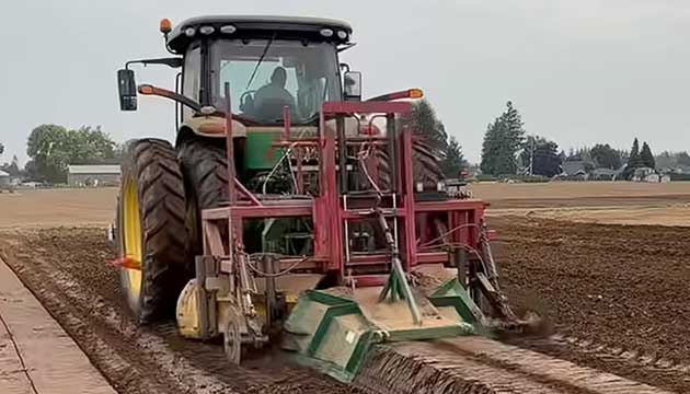 Raspberry Bed Soil Fumigation | Lynden, WA
