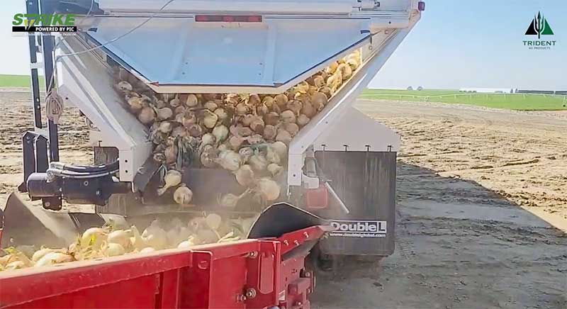 From Harvest to Storage | Part 2 of 3